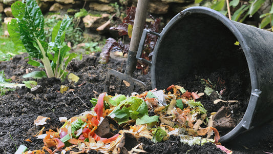 Bio Kompost pomaže vašem vrtu