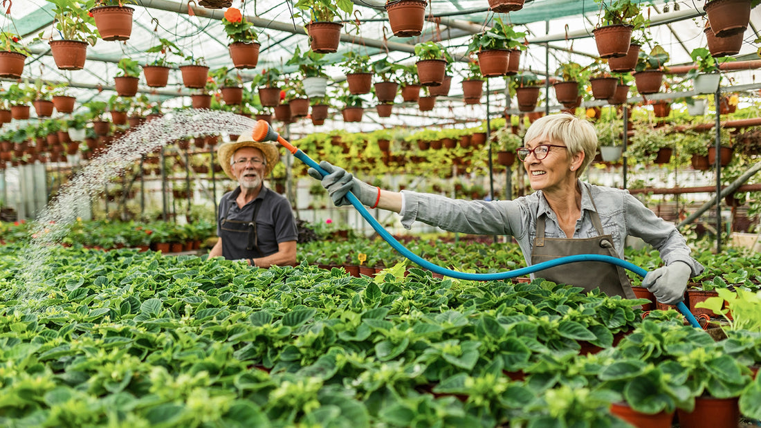 Upute za korištenje Plant Plusa