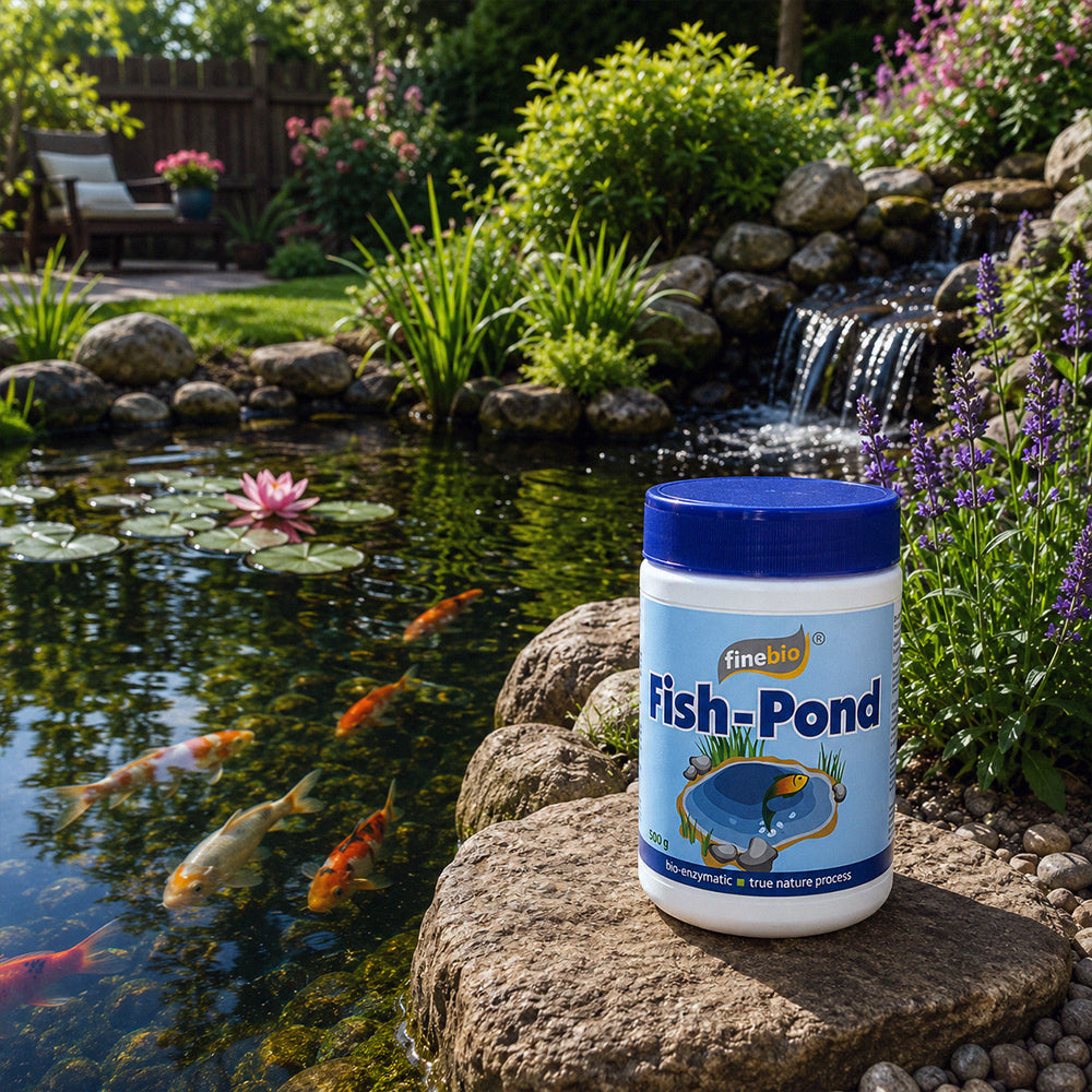 Fish-Pond
