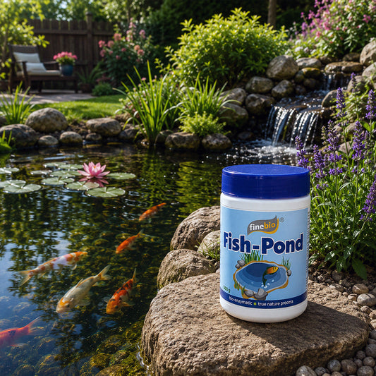 Fish-Pond